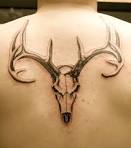 deer tattoos