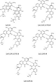 Attēlu rezultāti vaicājumam “Paraleucobryum longifolium”