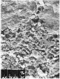 Image result for SEM micrographs of Novaculite Arkansas