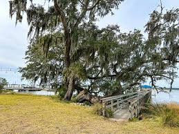 Image result for Hillingdon Canoe Club