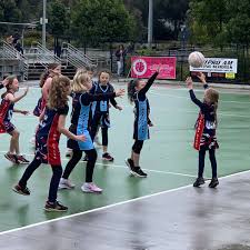 Image result for Lyndean Netball Club