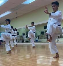 Image result for Jin Sei Kai Shotokan Karate