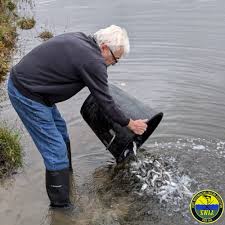 Image result for Dulverton Angling Association