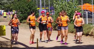 Image result for Ipswich Harriers