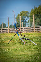 Image result for Nethermoss Archers