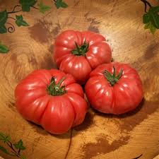 Afbeeldingsresultaat voor brandywine sudduth tomato