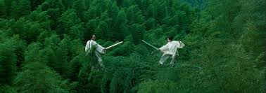 Image result for Hidden Dragon Karate-Do