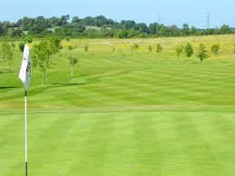 Image result for Henley Golf Club