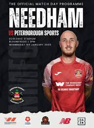 Image result for Needham Market Football Club