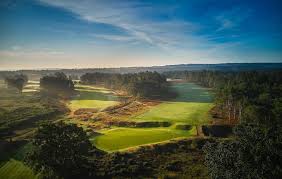Image result for Hankley Common Golf Club