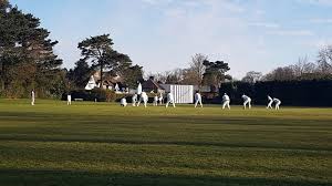 Image result for Wimbledon Cricket Club
