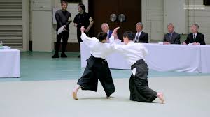 Image result for Goryukai Aikido Yoshinkan (Chichester)