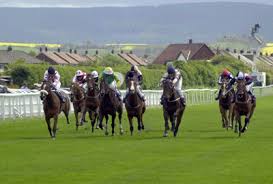 Image result for Redcar Race Walking Club