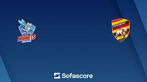 Image result for Rochdale Hornets