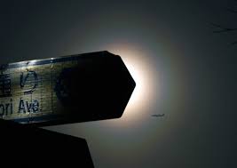 Attēlu rezultāti vaicājumam “pollen corona”