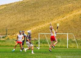 Image result for hurling