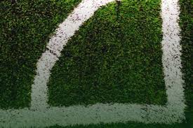 Image result for Metropolitan Police (Chigwell) Bowls Club