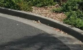 Image result for Kerb & Channel