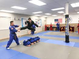 Image result for Arlington Martial Arts Academy