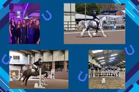 Image result for Liverpool Equestrian Club