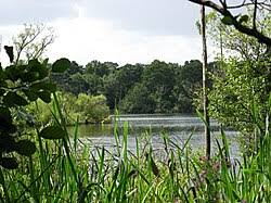 Image result for Mytchett Centre Football Club