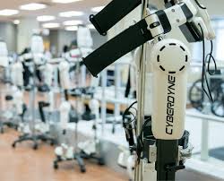 Image result for cyberdyne