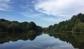 Image result for West Finchley B C