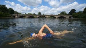 Image result for Serpentine Swimming Club