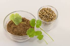 Image result for Koriander