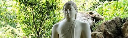Image result for Buddha Maligavilla Srilanka