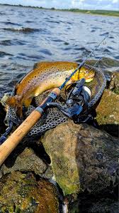 Image result for Airdrie & District Angling Club