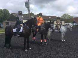 Image result for Chobham and District Riding Club