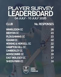 Image result for Salfords Cricket Club
