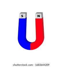 Image result for Pole Magnets