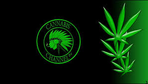 Resultado de imagen para la marihuana channel