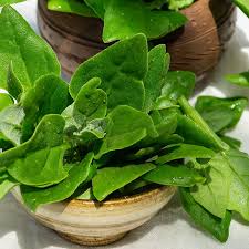 Image result for Neuseeländer Salat