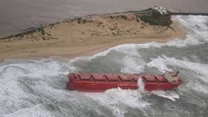 Image result for Pasha bulker
