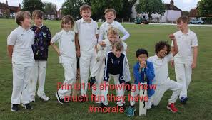 Image result for Horsham Trinity Cricket Club