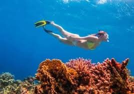 Image result for Ruislip Snorkelling Club