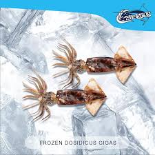 Image result for Dosidicus gigas