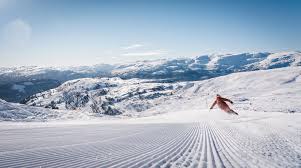 Image result for British Norwegian Ski Club