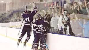 Image result for Adur Skater Hockey Club