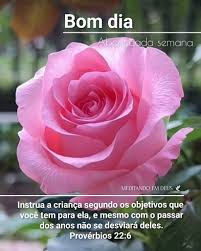 Image result for foto presença de deus