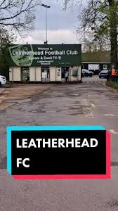 Image result for Leatherhead Football Club