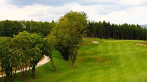 Image result for Palewell Pitch & Putt Golf Club