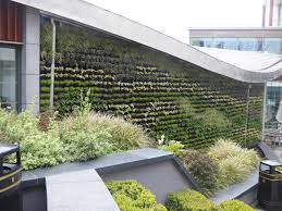 Image result for living wall