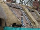 Anne Hathaway's cottage. Detail of thatching - via Daymix