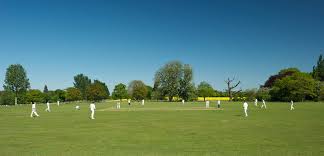 Image result for Ingleby Greenhow Cricket Club