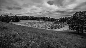 Image result for Stowmarket Striders Running Club