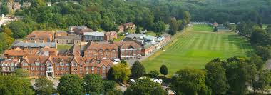 Image result for Caterham Cricket Club